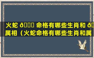 火蛇 🕊 命格有哪些生肖和 🕊 属相（火蛇命格有哪些生肖和属相相冲）